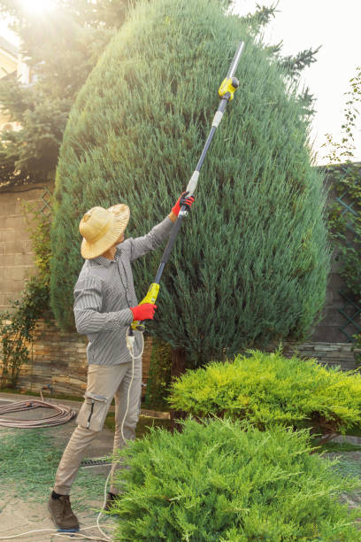 Trusted Clay City, IN Tree Removal and Landscaping Services Experts